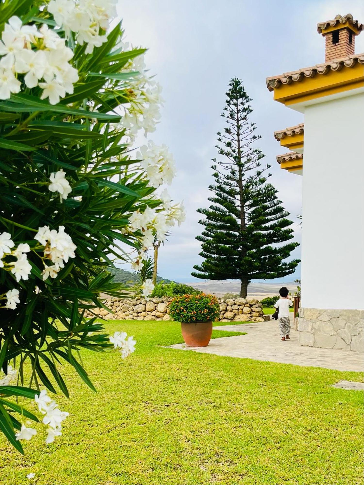 Finca La Vina Vejer de la Frontera Exterior photo